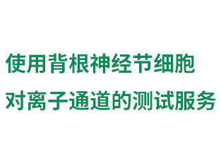 使用背根神經節細胞對...